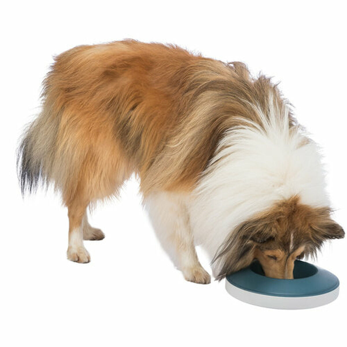 Dog Feeder Trixie Slow Feeding Blue Grey Natural rubber Plastic TPR Ø 23 cm 500 ml-3